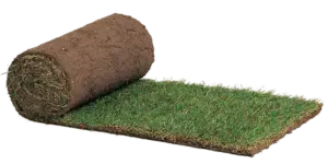 Turfing Services and Lawn Installations - Forest of Dean Gardening